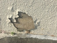 IMG_1551.JPGのサムネイル画像