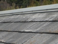 P3310397 - コピー.JPGのサムネイル画像